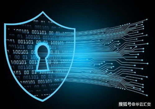 探秘区块链加密技术 如何在应用开发中构筑用户隐私与安全的坚固防线